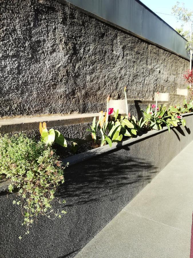 Fx Carvalhal Funchal (Madeira)